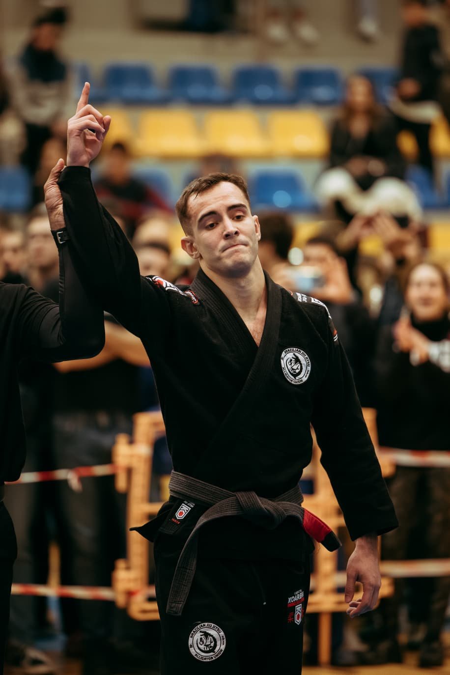 Icono de Brazilian Jiu Jitsu