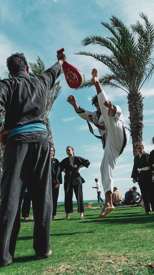 Icono de Tang Soo Do